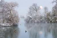 140 - HIVER SUR L'ETANG 2 - MARTIN HERVE - france <div